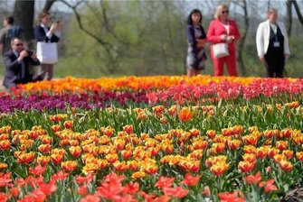 Kommt die Landesgartenschau 2026 ins Erzgebirge? Stadt Aue-Bad Schlema reicht Bewerbung ein - Bunte Blumenbeete gab es 2019 bei der Landesgartenschau in Frankenberg. Nun soll Bad Schlema erblühen. 