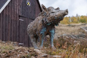 Kontroverse in Augustusburg: Stadtrat entscheidet über umstrittene Skulptur - Die Bronze-Wildschweine am Sauberg in Ehrenfriedersdorf gehören zu den unumstrittenen Skulpturen des Purple-Path-Projektes. Hier gibt es auch einen augenscheinlichen Bezug zum Standort.