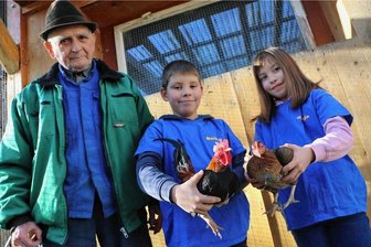 Kornbach: Zehnjährige Zwillinge züchten Zwergkämpfer - Ehrenzuchtwart Klaus Bauer gibt den zehnjährigen Zwillingen Ronja und Robin Lorenz aus Kornbach gerne Tipps, wenn es um das Züchten ihrer Altenglischen Zwergkämpfer geht. 