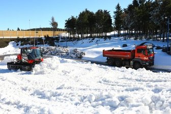 Kostbares Weiß übersommert -