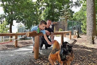 Kosten explodieren: Tierpark in Klingenthal droht die Schließung - Erst im Juli eröffnete ein begehbarer Bauernhof