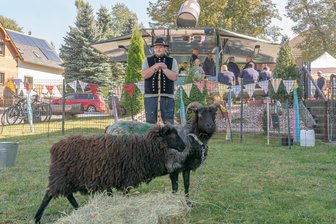 Kottengrün im Vogtland rüstet sich für Eimberger Herbstmarkt - 2018 war Hobbyschäfer Johannes Helbig aus Klingenthal beim Herbstmarkt dabei.