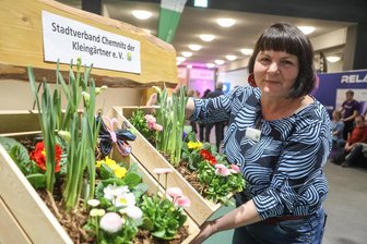 Kräuter oder Blumen: 9 Pflanz-Tipps von der Frühlingsmesse in Chemnitz für den Balkon - Was kommt nach den klassischen Frühlingsblühern? Suzanne Krauß, Vorsitzende des Stadtverbandes Chemnitz der Kleingärtner empfiehlt Kräuter für die Balkonbepflanzung. Kräuter seien relativ wenig hitze- und frostempfindlich.