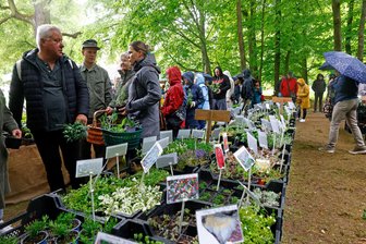 Kräuter- und Pflanzenmarkt „Basilikum“ in Waldenburg lockt Tausende an: So fällt das Fazit der Organisatoren aus - Ein großes Angebot an Kräuterpflanzen hat es auf dem „Basilikum“ in Waldenburg gegeben.