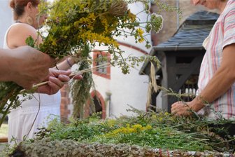Kräuterbuschen binden auf der Rochsburg - Zum Kräuterbuschen binden wird am Sonntag auf Schloss Rochsburg eingeladen.