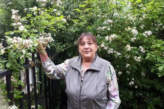 Kräuterfrau aus Trünzig empfiehlt Olivenblatt-Tee gegen Bluthochdruck und Kreuzkümmel gegen Zecken - Kräuterfrau Sonja Röpke kennt sich mit der Wirkungsweise von Wildpflanzen aus. Sie veranstaltet Wanderungen mit Kindern und Erwachsenen und am Sonntag den „Tag der Gesundheit“ rund um das ehemalige Forsthaus.