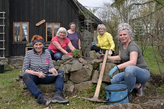 Kräutergarten und Mini-Bergbauheimat in Schneeberg auf Vordermann gebracht - Gestalten den Kräutergarten neu (v. l.) Barbara Schramm, Birgit Löffler, Kerstin Stopp, Kerstin Löser-Mosch und Katja Friedrich.