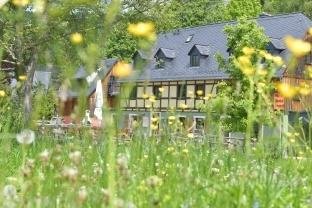 Kräutertag im Holzfällerhaus - So schönt blüht es in der Bergstraße 10 in Holzhau.