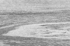 Krater im ewigen Eis: Forscher vermuten riesigen Meteoriten - Das Foto zeigt eine ringförmige Bruchstruktur im Schelfeis der Antarktis. Möglicherweise stammt der gigantische Eiskrater vom Einschlag eines riesigen Meteoriten.