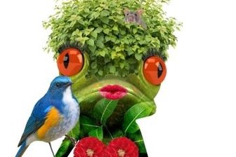 Kreativität der Kinder ist gefragt - Der Frosch ist das Maskottchen des Symposiums.