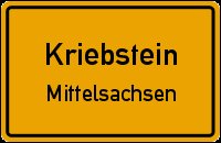 Kreis repariert nur Teil der steilsten Kreisstraße - 