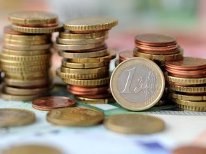 Kreis unterstützt Landesgartenschau -