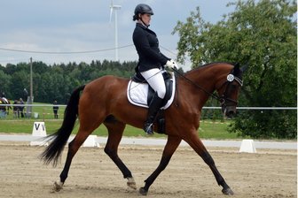 Kreismeisterschaft im Fahren: Weißbach wird zum Zentrum des Pferdesports - Lokalmatadorin Marlen Drescher startet beim Heimturnier wieder in der Dressur.