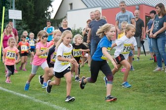 Kreissportbund: Zahl der aktiven Mitglieder steigt im Jubiläumsjahr - Die SG Jößnitz ist trotz leichten Rückgangs weiterhin der Verein mit den meisten Mitgliedern im Vogtland. Vor allem im Kindersport ist die SGJ gut aufgestellt, wie man hier bei einem Sportfest sehen kann. 