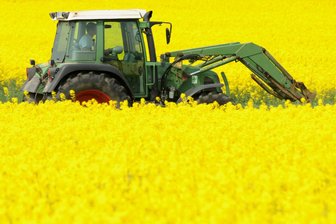 Kriebstein: Traktor verliert Raps - Rutschgefahr auf S 36 -