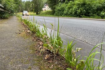 Kritik an Sauberkeit in Bad Elster stößt Bürgermeister sauer auf - Eine Stelle, an der Stadträte in Bad Elster Handlungsbedarf sehen: Der Fußweg stadtauswärts rechts entlang der Ascher Straße in Richtung Reuth.