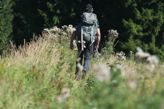 Kritik an zugewachsenen Wanderwegen in Plauen: Bauhof mäht am Limit - Wer derzeit wandert, muss damit rechnen, das manch Weg zugewachsen ist.