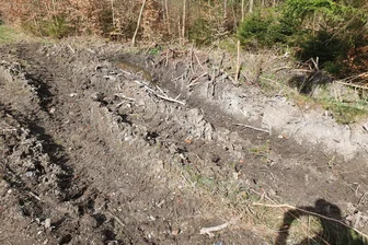 Kritik nach Forstarbeiten im Vogtland: Forstfirma will Wege wieder herrichten - Dieses Foto hat Günter Keßler an die Redaktion geschickt.