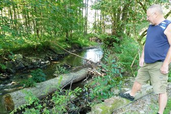 Krötenalarm: Warum im Erzgebirge ein Teich austrocknet - Matthias Wieland an der Stelle, an der sich das alte Wehr befand.
