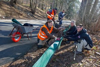 Krötenzaun im Plauener Stadtpark jetzt einsatzbereit - Mitarbeiter und freiwillige Helfer des Plauener Pfaffenguts errichten am Stadtparkring einen Krötenzaun.