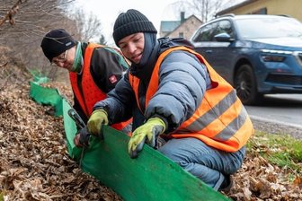 Krötenzaun in Elsdorf aufgebaut -