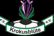 Krokusse entscheiden Erzgebirgshallencup für sich -