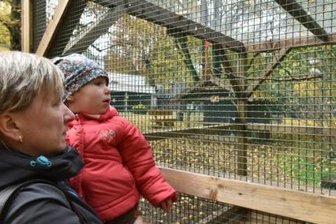 Kronkorken-Aktion: Tierpark Freiberg erhält 6500 Euro - Der Freiberger Zoo erhält 6500 Euro, um einen Mini-Zoo bauen.