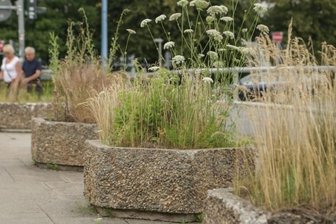 Kübel sollen verschwinden -