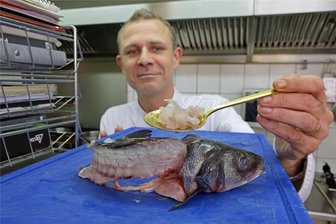 Küchenabfälle? Von wegen: Glauchauer Koch nennt seine Rezepte gegen Lebensmittelverschwendung - Vom Wolfsbarsch lässt Steve Tuchscherer nur das Skelett und den Kopf für die Suppe übrig. Das abgeschabte Fleisch verarbeitet er zu Nockerln. Die ausgelösten Filets werden gebraten.