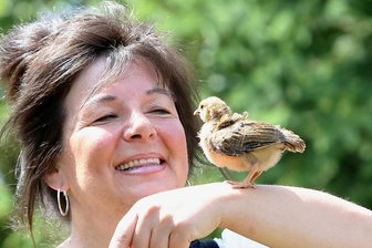 Küken Erna weicht Thalheimer Adoptiveltern kaum von der Seite - Küken Erna schaut sich die Welt gern aus exponierter Lage an - beispielsweise auf Kerstin Illigs Arm.