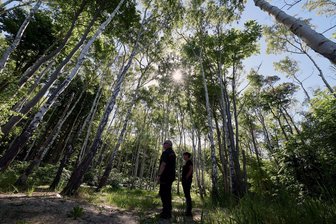 "Kümmerer des Waldes": Rostock fünf Tage Försterhauptstadt - Auch die Rostocker Heide ist ein Exkursionsziel bei der Forstvereinstagung.