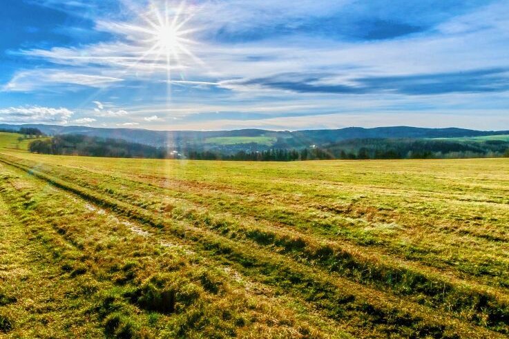 Künftige Schafweide soll großes Solardach erhalten - Ausschnitt der 45 Hektar großen Grünfläche, die in einen Solarpark verwandelt werden soll. 