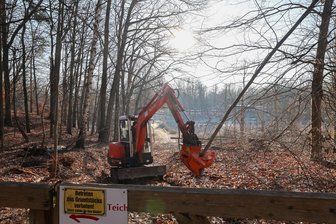Künftiges Lichtensteiner Naturbad: Jetzt fällen die Profis - Ein Minibagger mit Fällgreifer, gefahren von Sandro Winkler, war diese Woche im Bad-Gelände unterwegs. Zunächst wurden die Bäume entlang des Zauns entfernt.