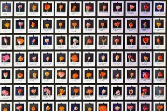 Künstliche Intelligenz, verständlich erklärt - "Myriad (Tulips)" heißt dieses Kunstwerk von Anna Ridler in der Ausstellung "Künstliche Intelligenz: Maschinen - Lernen - Menschheitsträume": 1113 Polaroidfotos von Tulpen verdeutlichen dabei einen Datensatz, also eine sinnige Zusammenstellung von Daten nach bestimmten Kategorien. Für Menschen ist diese im vorliegenden Fall simpel - für Maschinen sehr kompliziert.