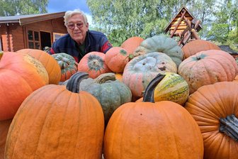 Kürbisernte auf dem Ferienhof in Falkenau: So viele bunte Riesenkugeln - Werner Vogel blickt auf einen Teil der diesjährigen Kürbisernte des Ferienhofes in Falkenau.