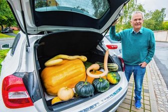 Kürbisexperte erschrocken und dann begeistert - Rainer Drechsler hat schon die ersten Kürbisse für den Bauernmarkt im Kofferraum seines Autos.