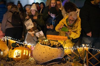 Kürbisleuchten lockt 2000 Besucher nach Adorf: So war die magische Nacht im Vogtland - Viele Besucher bestaunten die kreativ gestalteten Kürbisse beim siebten Kürbisleuchten auf dem Marktplatz in Adorf.