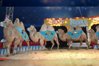 Kult Circus Renz gastiert zum ersten Mal in Pausa - 