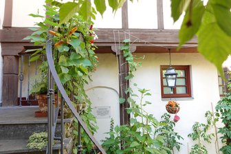 Kultureller Abend mit Lesung im Andy-Darby-Garten des Erich-Ohser-Hauses in Plauen -