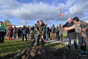 Kulturhauptstadt 2025: Erste Bäume für "Parade der Apfelbäume" in Chemnitz gepflanzt - Brachten gemeinsam die ersten Apfelbäume für ein großes Kulturhauptstadtprojekt in die Erde: Sachsens Umweltminister Wolfram Günther (mit Spaten), Oberbürgermeister Sven Schulze und Kuratorin Barbara Holub.