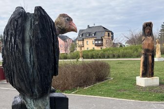 Kulturhauptstadtjahr: Wie das Erzgebirge die Eröffnung des Kunst- und Skulpturenweges feiert - Noch fehlen sie: Doch zur Purple-Path-Eröffnung sollen an den Skulpturen im Lugauer Stadtpark auch Schilder angebracht sein, die mehr über Werke und Künstler verraten.