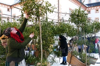 Kunsthandwerk unterm Mistelzweig: 80 Händler beeindrucken beim Augustusburger Markt - Die Mistelzweige von Alexandra May auf dem Kunsthandwerkermarkt auf Schloss Augustusburg sollen den Menschen Glück bringen.