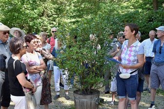 Kurpark Bad Elster erfreut mit Bepflanzungen und Raritäten - Gartenbaumeisterin Elke Sternitzky bei einer Führung durch die Anlagen.