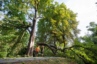 Kurz, aber heftig: Unwetter verursacht Schäden im Vogtland - Der Radweg an der Weißen Elster war nicht mehr passierbar. Tino Eichelkraut und Laila Franz von der Abteilung Baumpflege der städtischen Gebäude- und Anlagenverwaltung begutachteten die Schäden. Laila Franz: "Wir bitten um Verständnis, wenn viele gemeldete Schäden erst im Lauf der kommenden Woche angeschaut werden können."