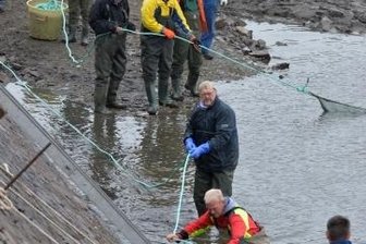 Kurz vor "Ebbe": Die Fische ziehen um - An zwei Enden versucht man, das Netz zusammenzuziehen.
