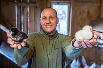 Kurz vor Ostern geschlüpft: Hier wird das seltene „Sachsenhuhn“ gezüchtet - Stefan Werner züchtet im Stollberger Ortsteil Gablenz sehr erfolgreich das „Sachsenhuhn“.