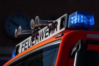 Kurze Nacht für die Feuerwehr Penig: Umgestürzte Bäume sorgen für wenig Schlaf - In Penig musste die Feuerwehr zu einem nächtlichen Einsatz ausrücken.