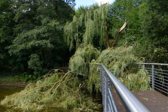 Kurzes, aber heftiges Unwetter in Teilen des Vogtlandes - Eine umgestürzte Weide blockierte in Auerbach im Bereich des Maschinenteiches den Göltzschtalradweg. Sie war auf den Steg gekippt, der über den Teich führt. Ob das Bauwerk Schaden beschädigt wurde, stand am Dienstagnachmittag noch nicht fest.