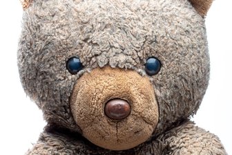 Kuschel-Alarm im Erzgebirge: Theater startet ungewöhnliches Casting - Im Eduard-von-Winterstein-Theater werden plüschige Kuscheltiere gesucht.
