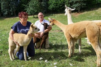 Kuschlige Alpakas in St. Egidien: Es geht nicht nur um Wolle - Roswitha Pörnig und Lebensgefährte Ronald mit den Stutfohlen Filippa (vorn) und Peppa, die seit kurzem die Herde im Lungwitztal bereichern.